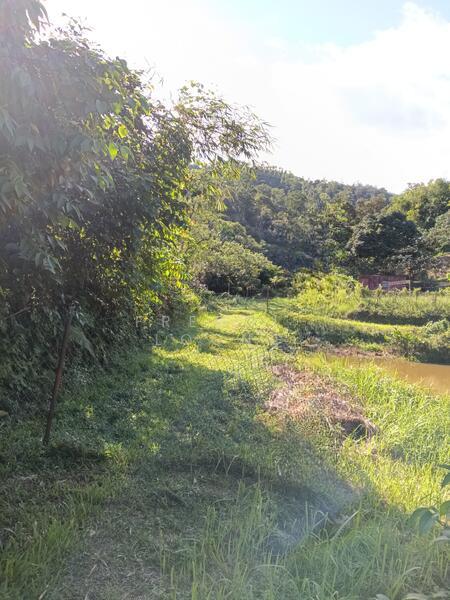 Rasa agriculture land with proper access road via Zurah industrial park - 2