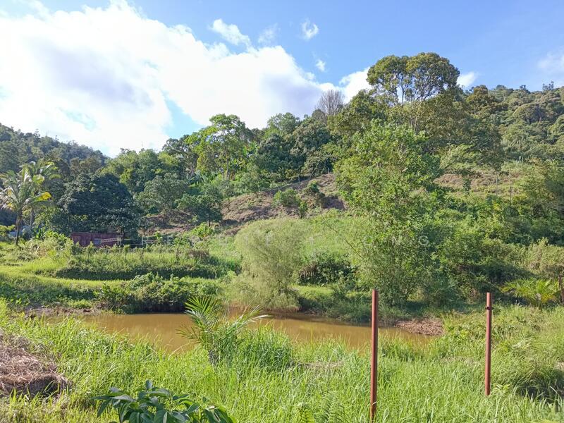 Rasa agriculture land with proper access road via Zurah industrial park - 3