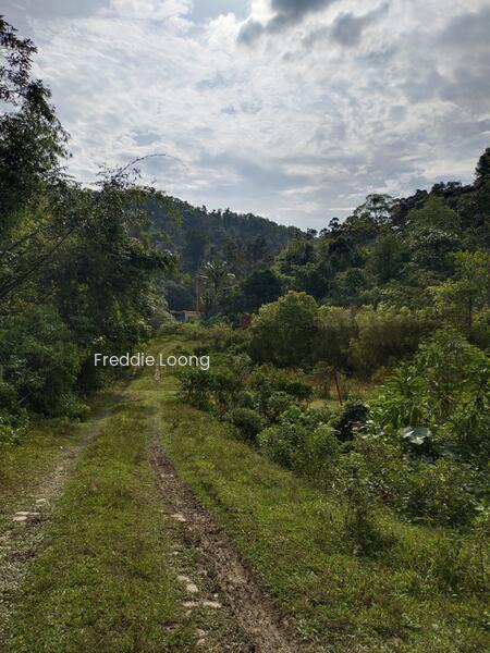 Rasa agriculture land with proper access road via Zurah industrial park - 1