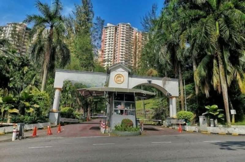 Venice Hill - 4