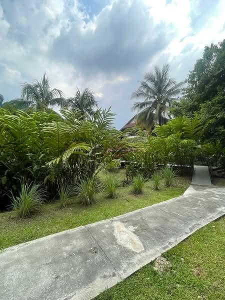 D'Rimba - 2