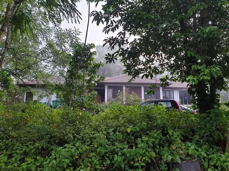 HUGE Bungalows on Hill In Hulu Langat 2.4 Acres Land - 3