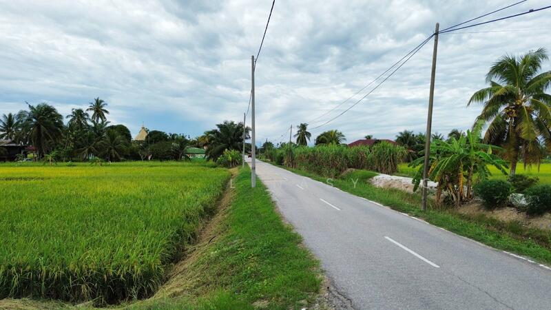 Tanah Sawah Sempadan Blok T Tanjong Karang - 5