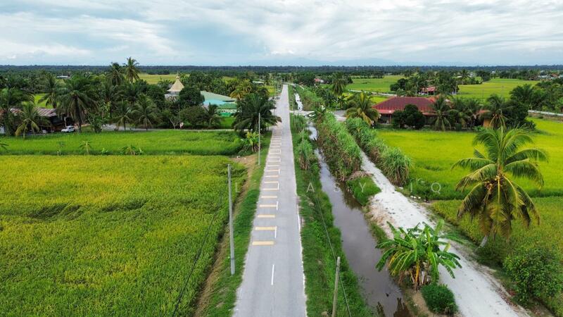 Tanah Sawah Sempadan Blok T Tanjong Karang - 4