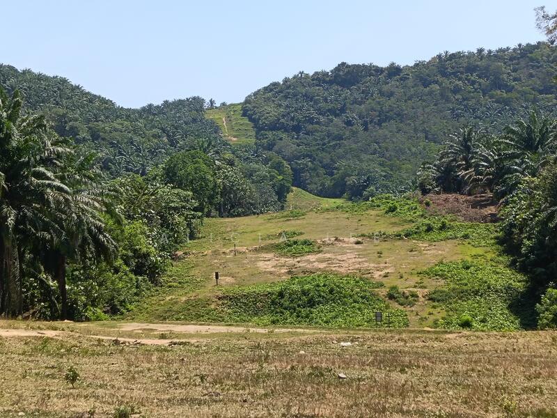 Dengkil Agricultural land for sale - 1