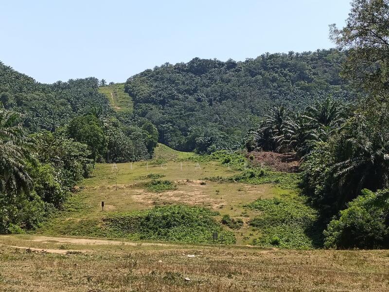 Dengkil Agricultural land for sale - 4