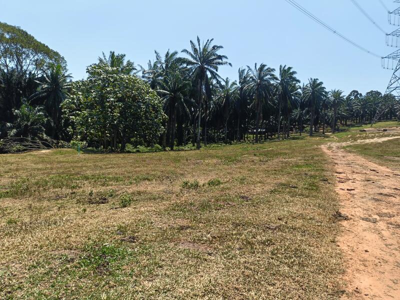 Dengkil Agricultural land for sale - 3