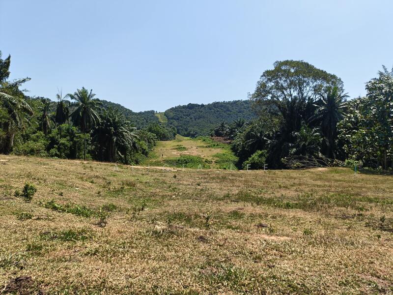 Dengkil Agricultural land for sale - 2