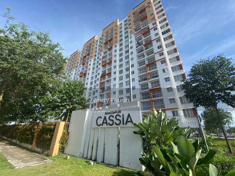 D'Cassia - 5