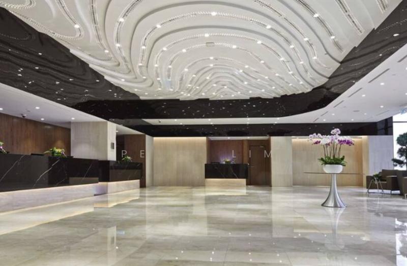 Grand Ion Delemen - 4