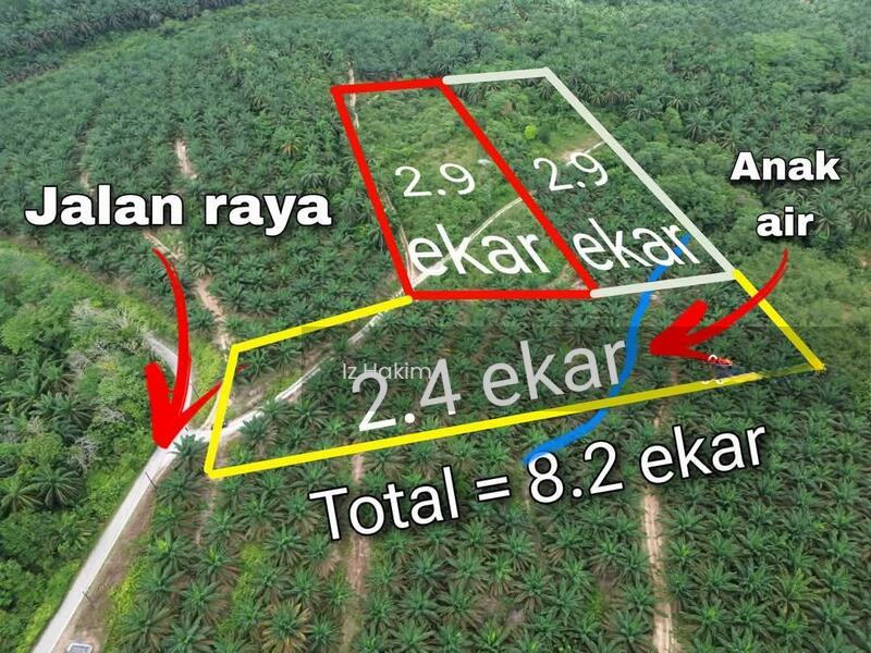 Tanah Sawit Ulu Bernam Selangor - 1