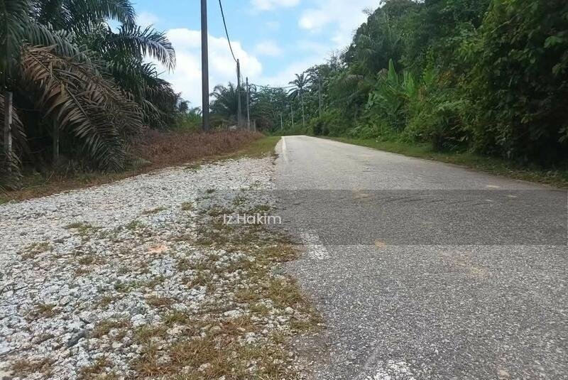 Tanah Sawit Ulu Bernam Selangor - 2