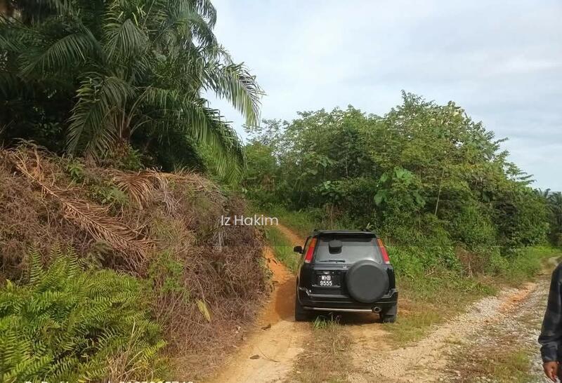 Tanah Sawit Ulu Bernam Selangor - 3