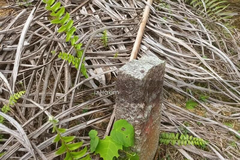 Tanah Sawit Ulu Bernam Selangor - 5