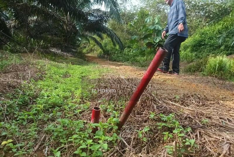 Tanah Sawit Ulu Bernam Selangor - 4