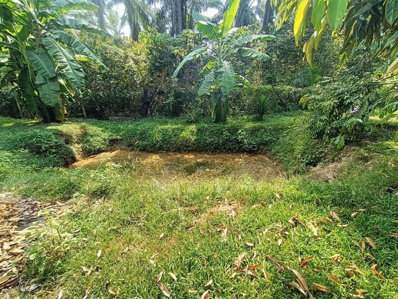 Ipoh Country Park - 5