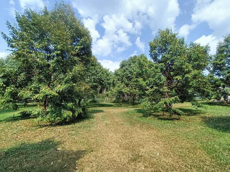 Ipoh Country Park - 3