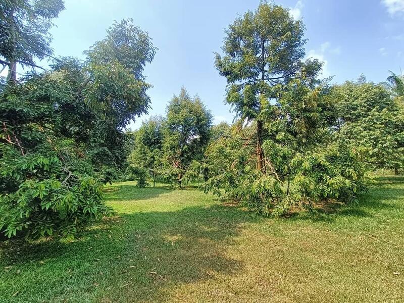 Ipoh Country Park - 4