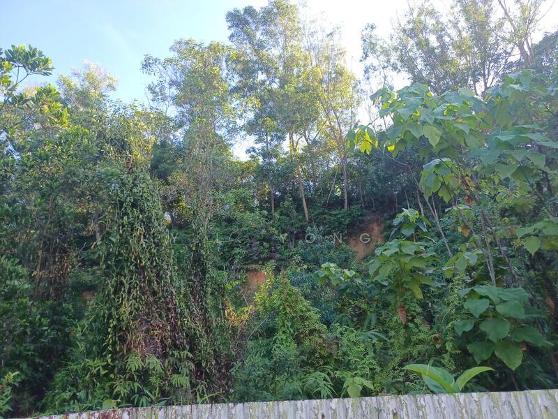 Bandar Sungai Buaya - 5