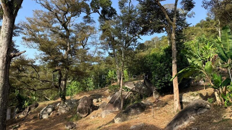 Durian Farm @ Sungai Lembu Bukit Mertajam - 1