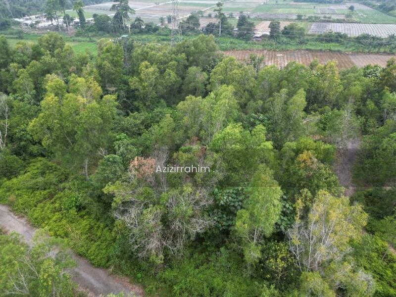 Intermediate Bungalow Lot Bukit Damar near Cybersouth - 5