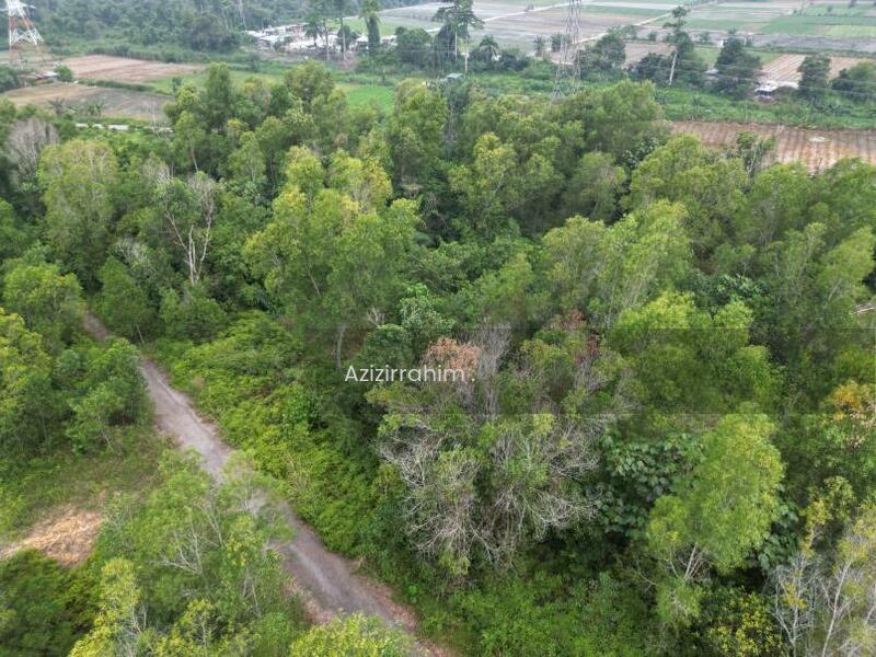 Intermediate Bungalow Lot Bukit Damar near Cybersouth - 4