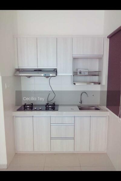 Zeva @ Equine South - 1