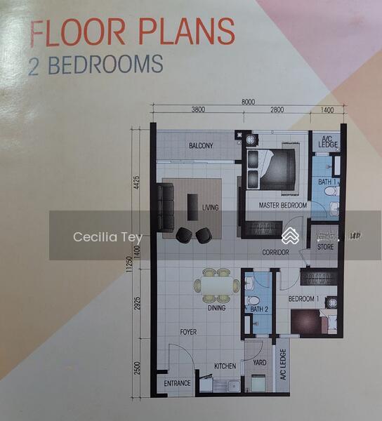 Zeva @ Equine South - 2