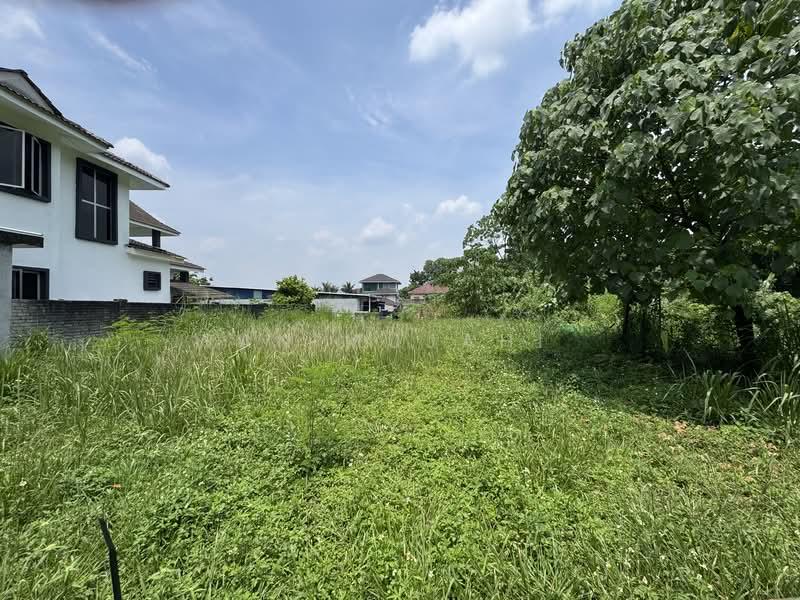 Kampung Baru Subang - 2