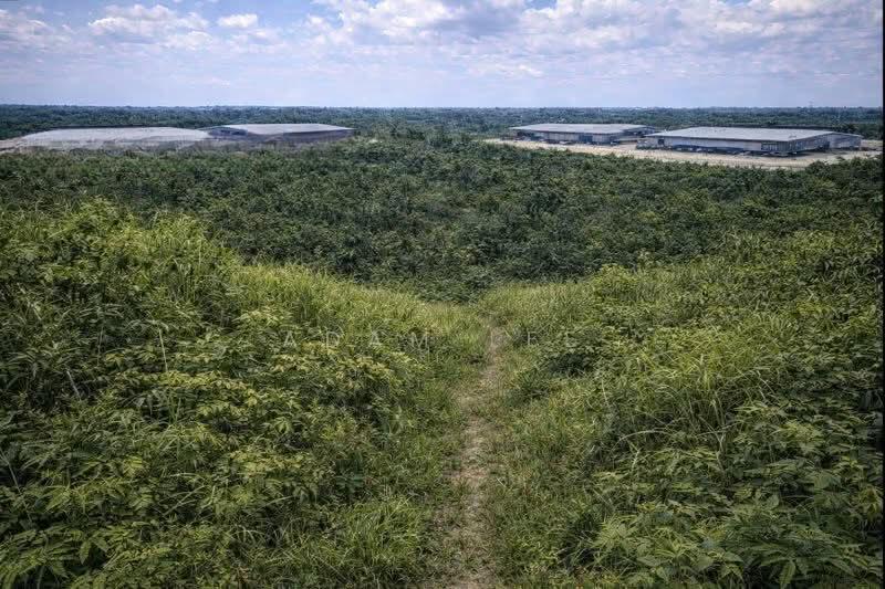 kulai kulai kulai - 5