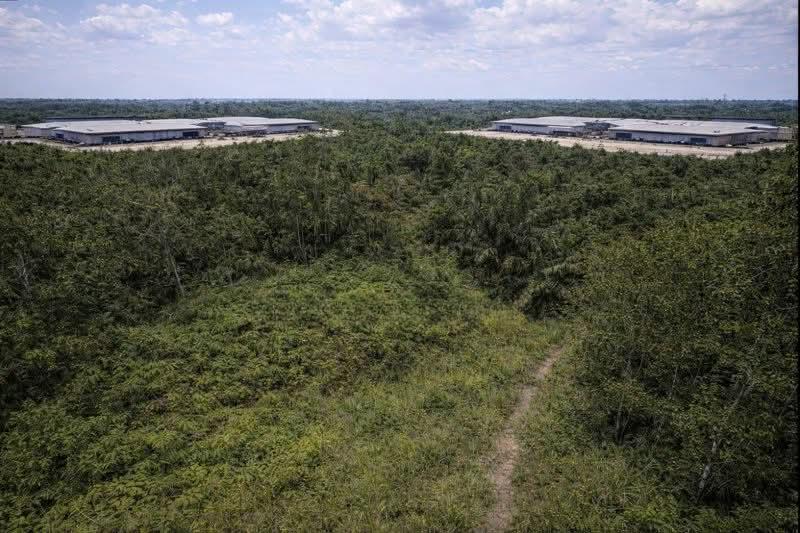 kulai kulai kulai - 4