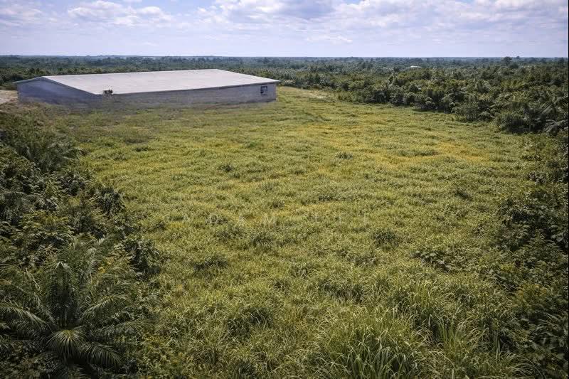 kulai kulai kulai - 2