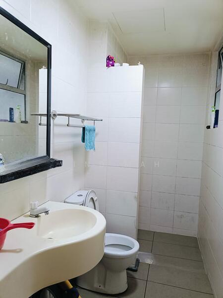 Platinum Lake PV 21 - 5