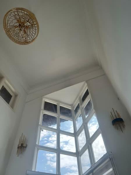 Stulang Laut Stulang Laut Stulangs Lauts - 4