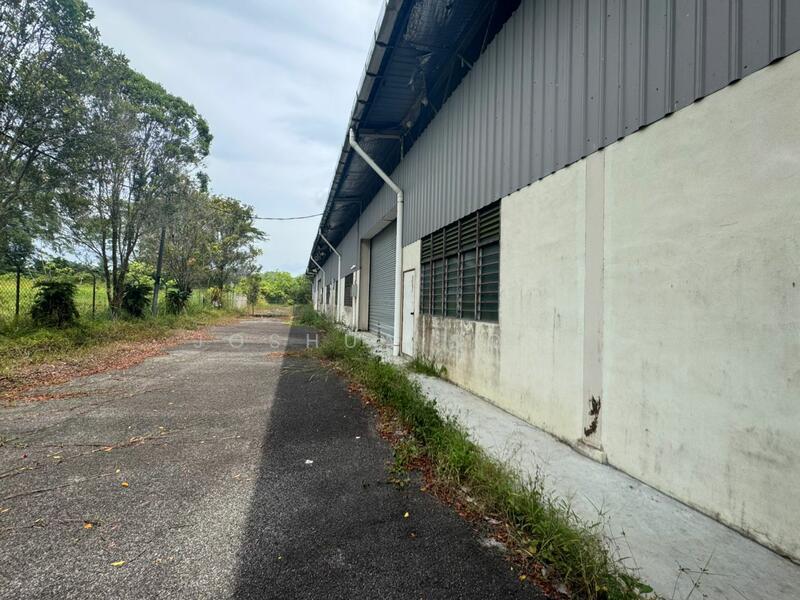 Pekan Nana Pekans Nanas - 5