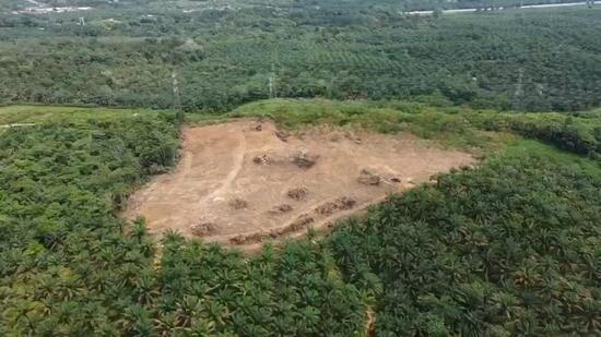 KG Seri Serigala Ulu Bernam Ulu Selangor - 4