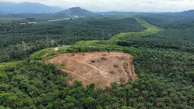 KG Seri Serigala Ulu Bernam Ulu Selangor - 1
