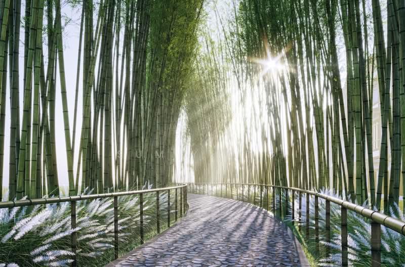 Brand New !! Spacious 2-sty Semi-D Setia Ecohill 1 - 5