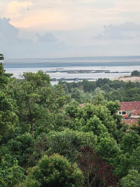 Laguna Heights (Bukit Laguna) - 1