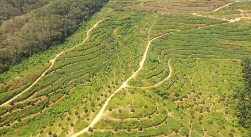 Karak temelong agriculture land with durian and land - 5