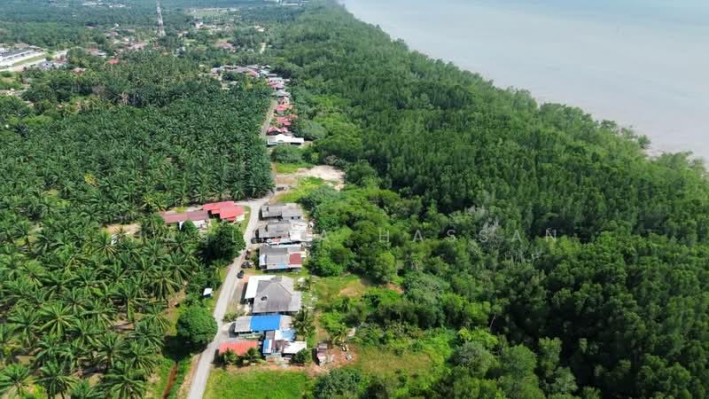 Lot Tanah Kampung Chuah - 4