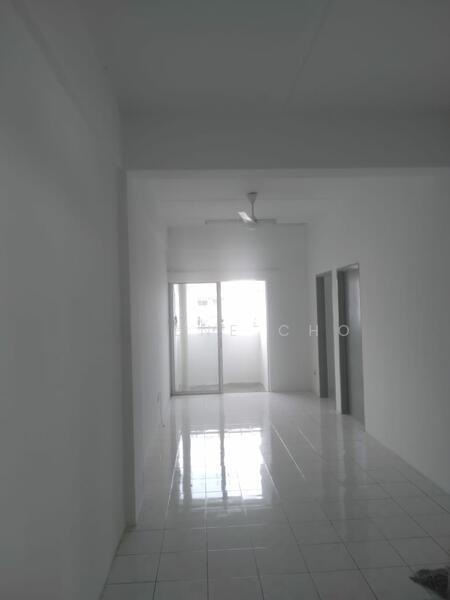 Desa Palma - 5