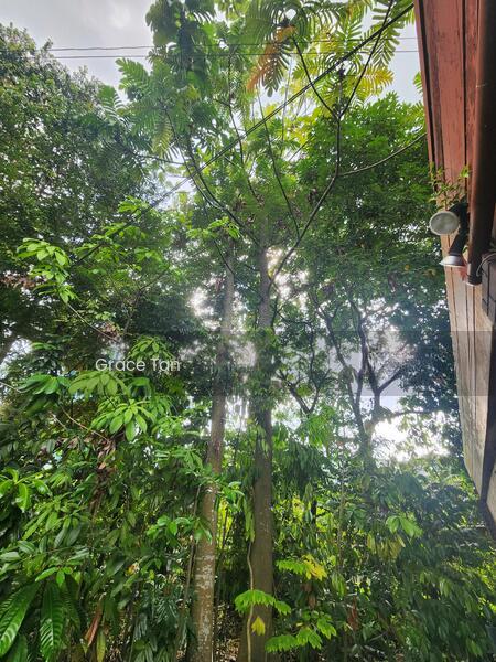 Bungalow at Bukit Damansara - 5