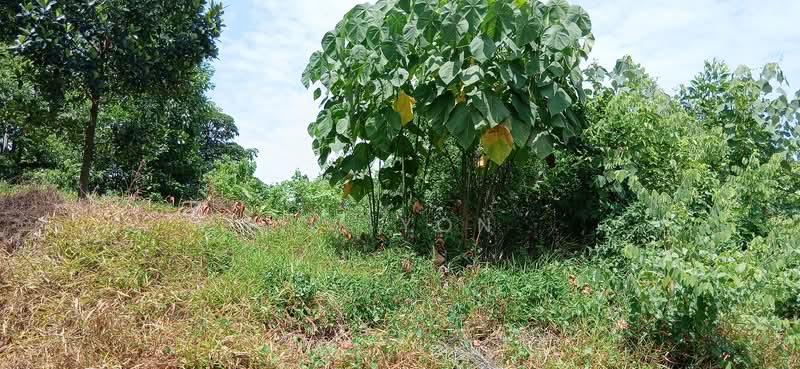 Hills Residence, Rawang - 2