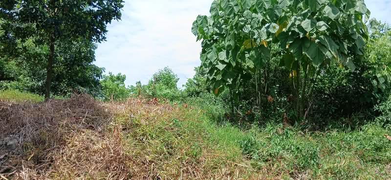 Hills Residence, Rawang - 3