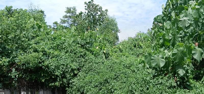 Hills Residence, Rawang - 1