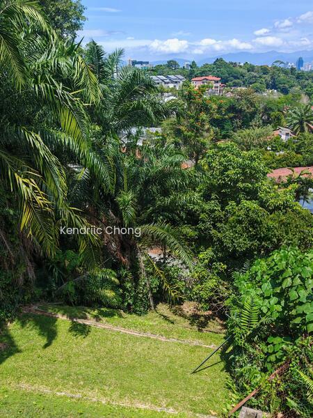 Bungalow at Lorong Buluh Perindu Taman SA Damansara Heights - 4