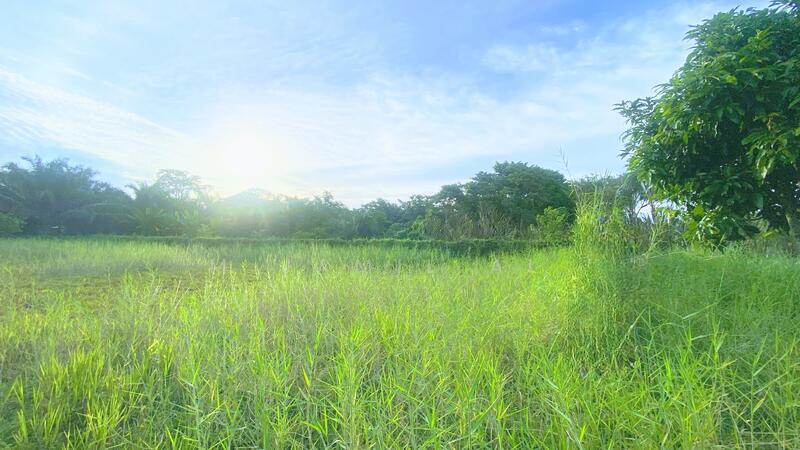 Muar - 2