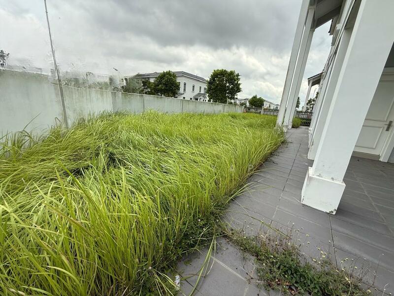 Eco Tropics - 4