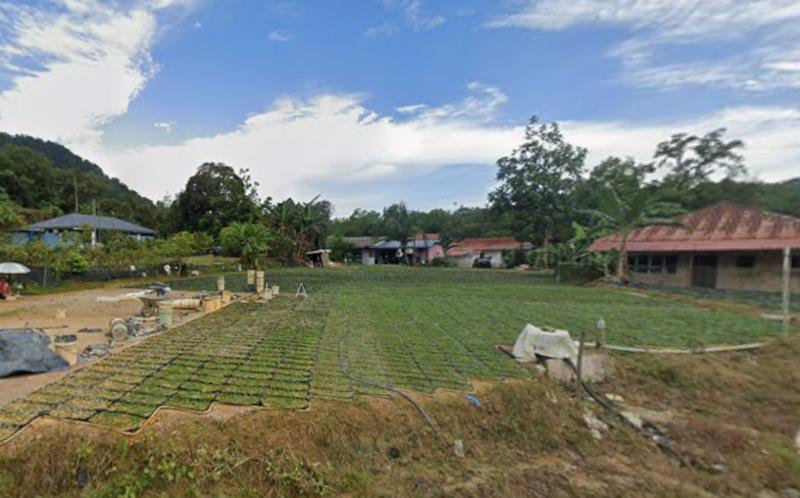 Sungai Buloh 3.9 Acre Agriculture Land for sale - 4
